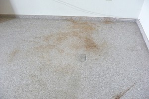 Verschmutzter Teppich